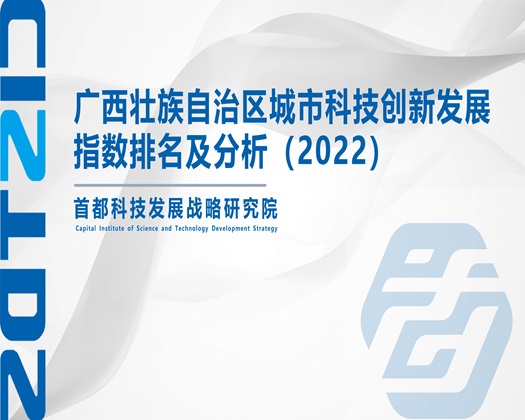 想要大鸡吧操逼【成果发布】广西壮族自治区城市科技创新发展指数排名及分析（2022）